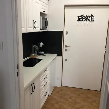 Apartament 4 Osobowy ザコパネ