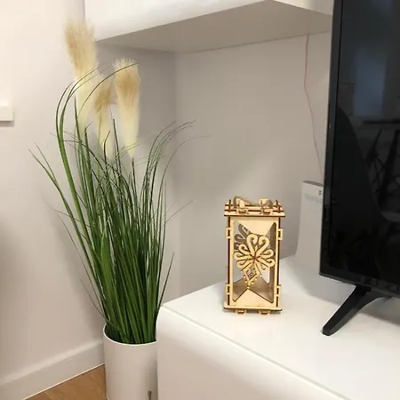 Apartament 4 Osobowy 자코파네
